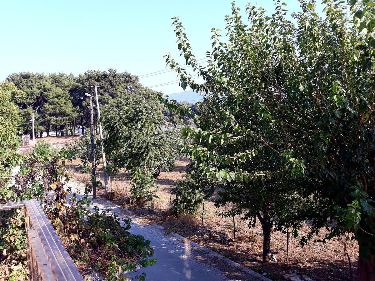 Can Efes Hotel Селчук Екстериор снимка